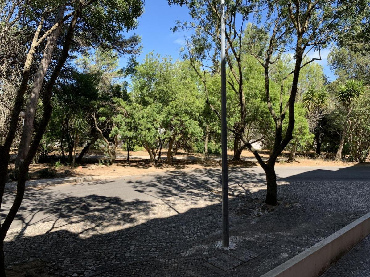 Posh Apartment In Costa Da Guia, Κασκαΐς Εξωτερικό φωτογραφία
